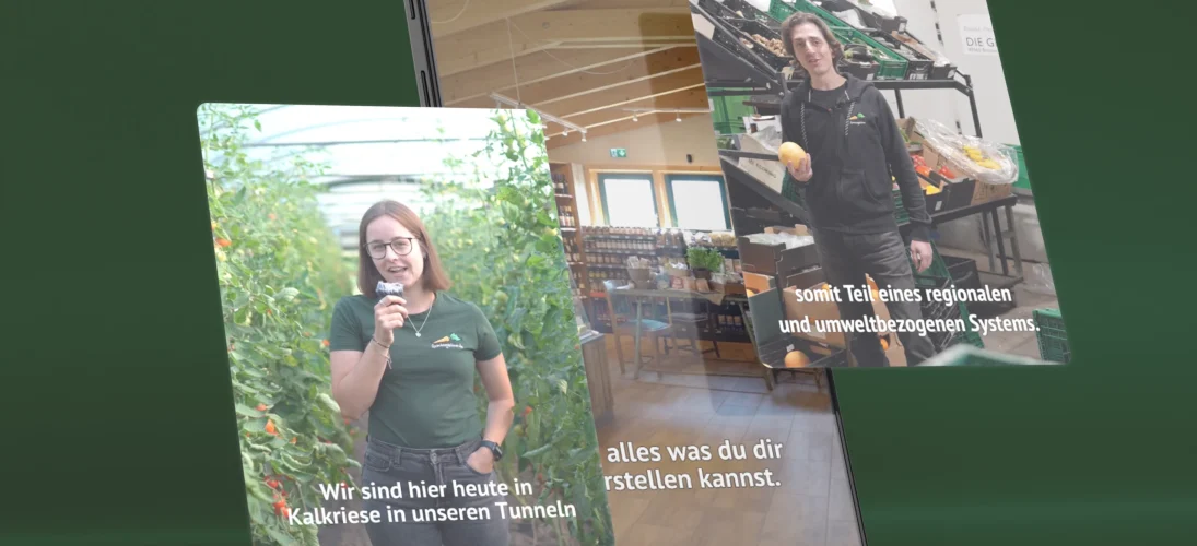 Ein Smartphone zeigt Bilder von Personen in einem Gewächshaus und einem Laden, thematisiert Nachhaltigkeit.